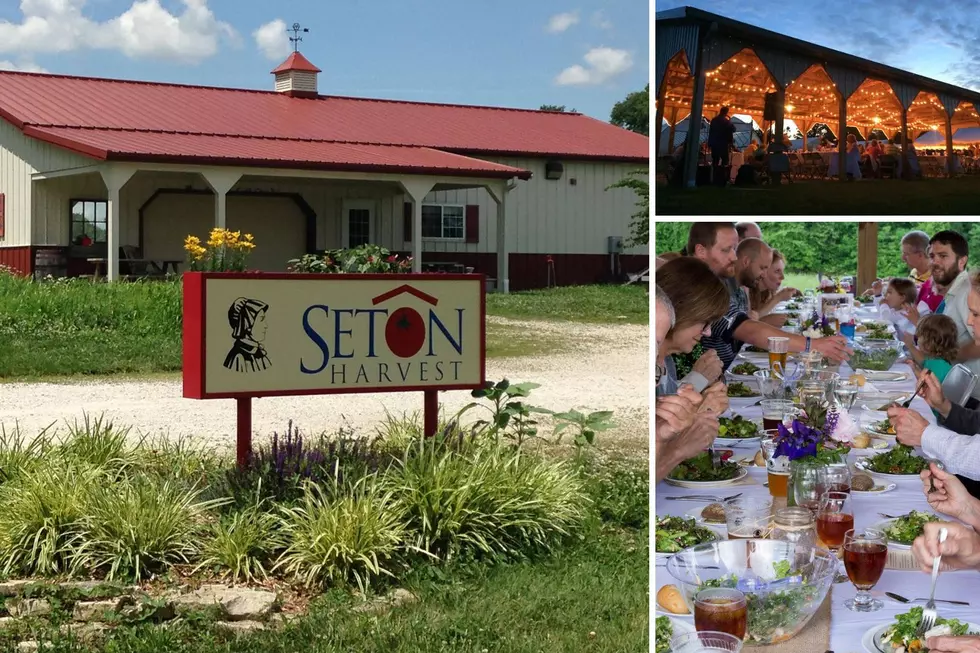 Enchanting &#8220;Twilight Dinner&#8221; Raises Money for Evansville-Based Community Farm