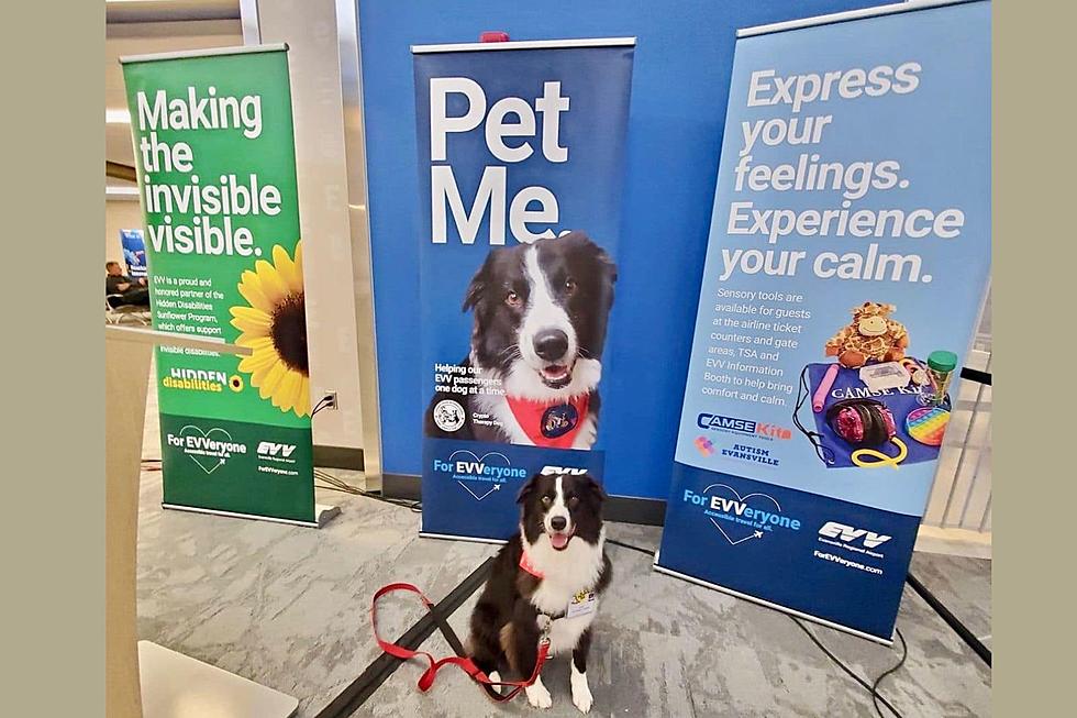 Evansville Regional Airport Introduces &#8216;Captain Crypto&#8217; The Cuddly Therapy Dog