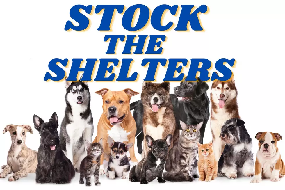 Help 'Stock The Shelters' with WEHT & Pet Food Center