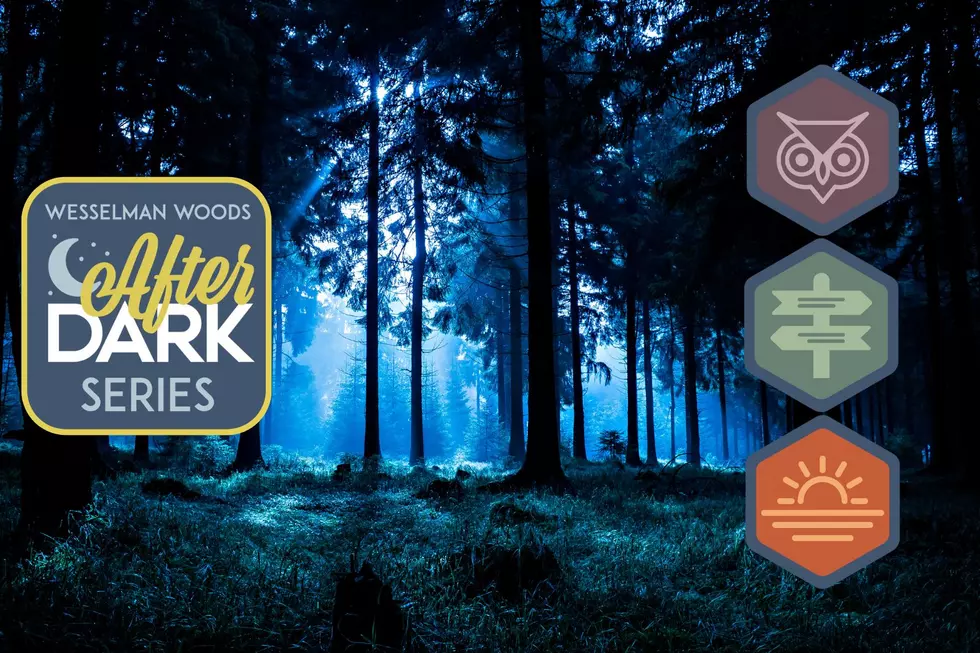 Wesselman Woods Introduces a New Series of 'After Dark' Programs