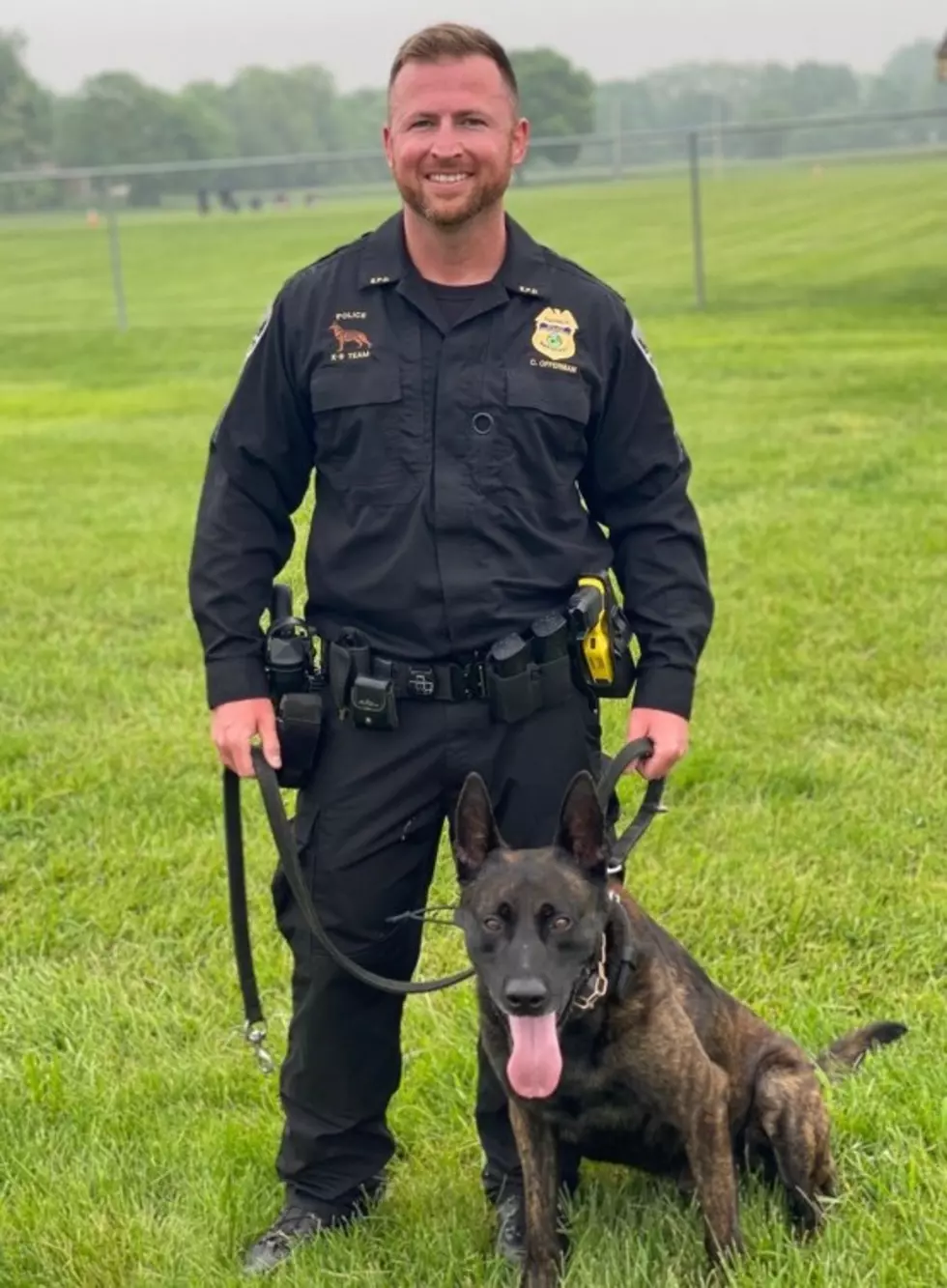 EPD K9 Cash