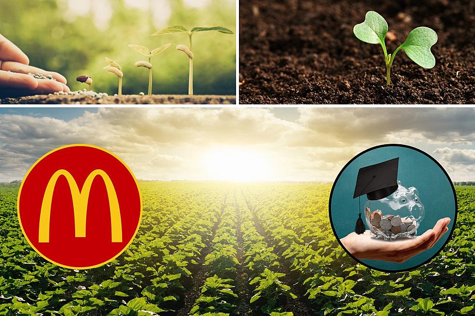 Nominate a Southern Indiana Area Student for McDonald’s Agriculture Scholarship Awards
