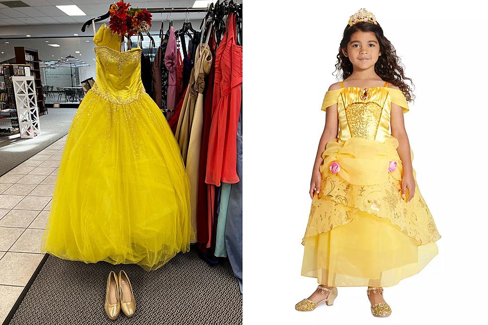 Create Disney Cosplay on a Budget at ERM Thrift Store