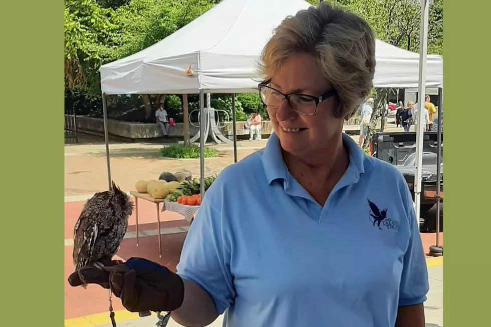 PHOTO: MARKET ON MAIN THE TALON TRUST