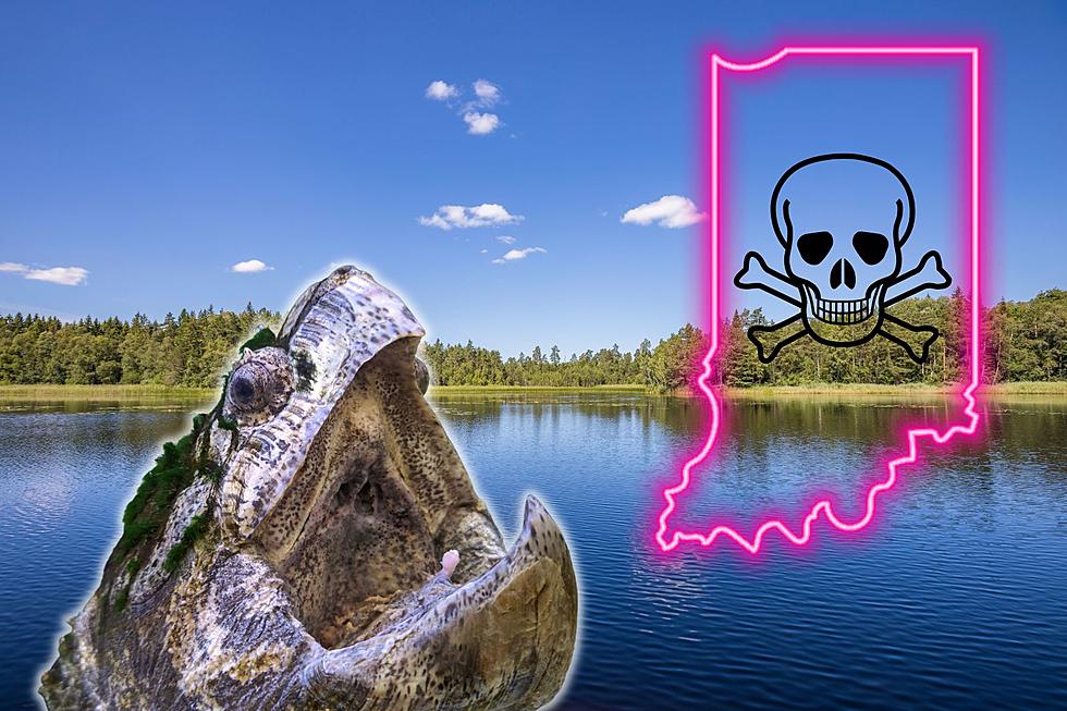 Did a Giant Snapping Turtle Really Decapitate a Body in an Indiana Lake?