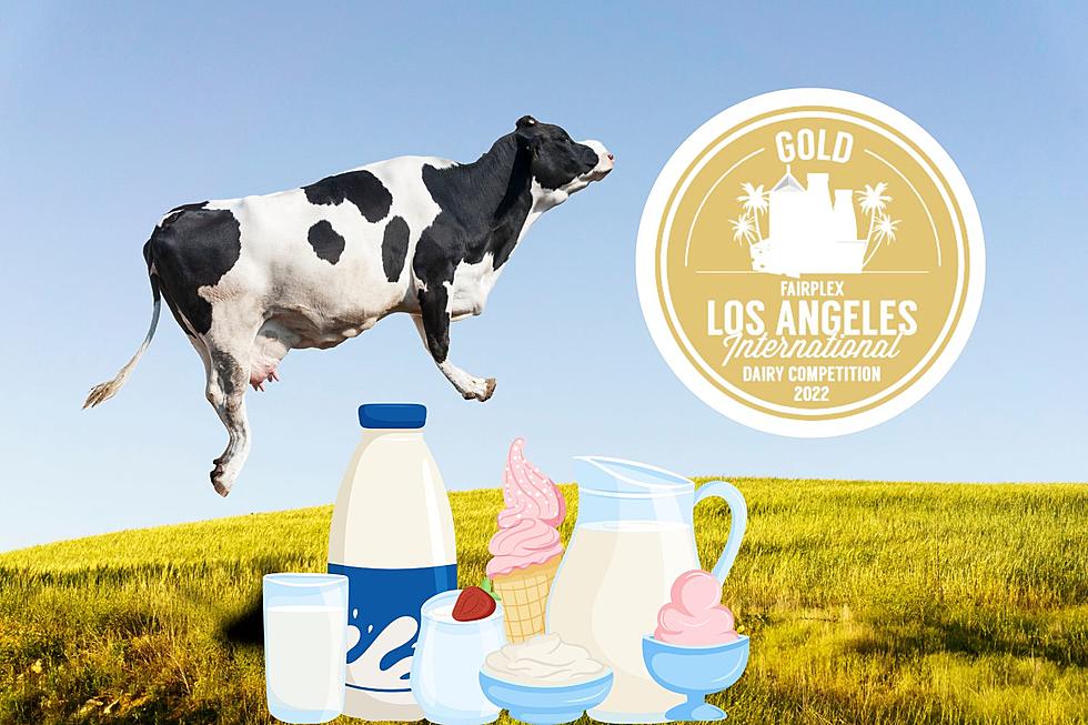 Kentucky Dairy Farm Wins 4 Gold Medals at International Competition