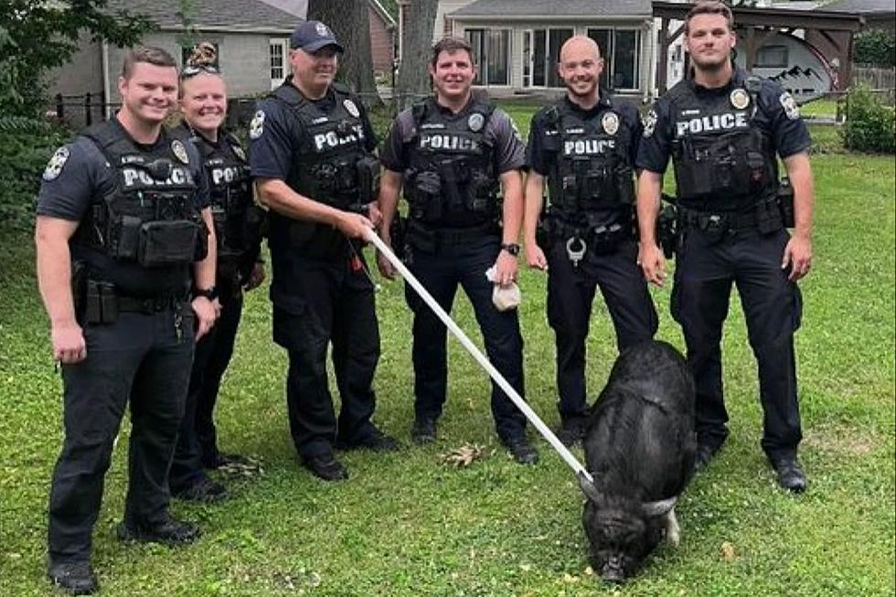 Kentucky Police Officers Embrace the &#8216;Pig&#8217; Stereotype in Viral Video