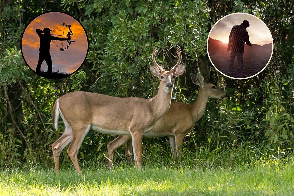 Kentucky Hunter Sued for Bringing "Zombie" Deer Head Into State