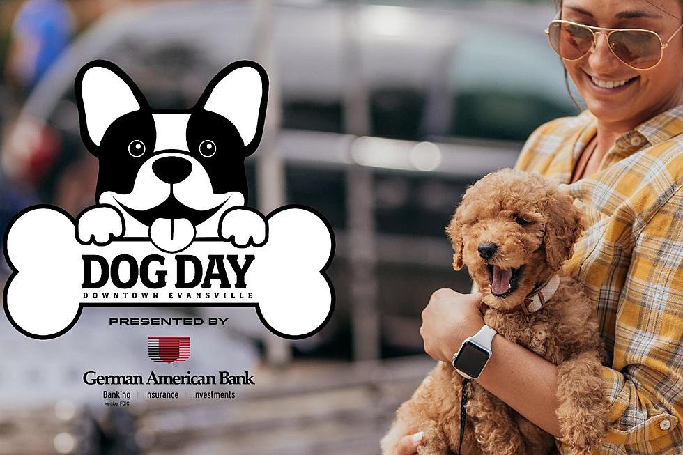 Get Ready to Bark and Roll: Fourth Annual Dog Day Downtown Evansville