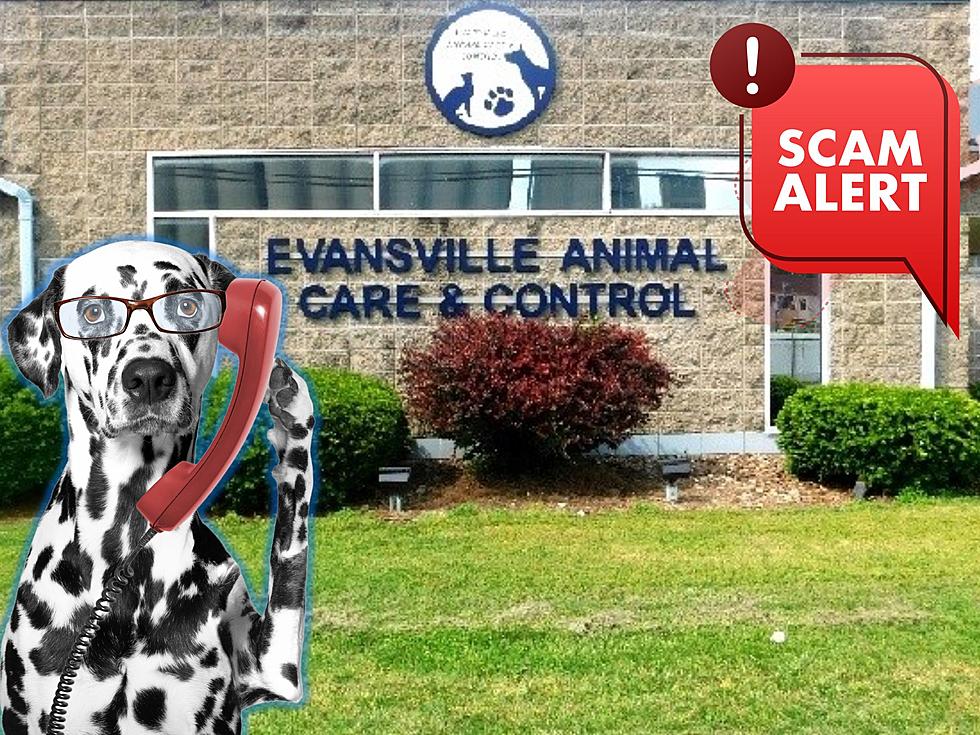 Scam Alert: Evansville Animal Control Warns Pet Owners of Phone Scam