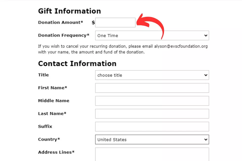 https://evscfoundation.org/give-today/