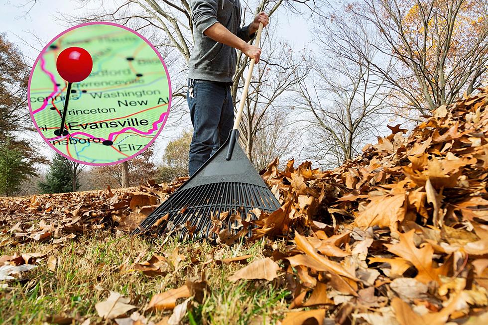 How Evansville Homeowners Can Take Advantage of Annual Fall Leaf Pickup Service