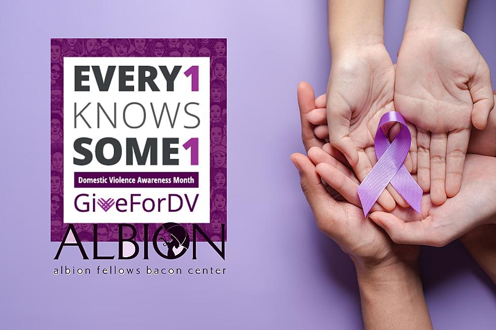 #Every1KnowsSome1 Albion Fellows BC Domestic Violence Resources