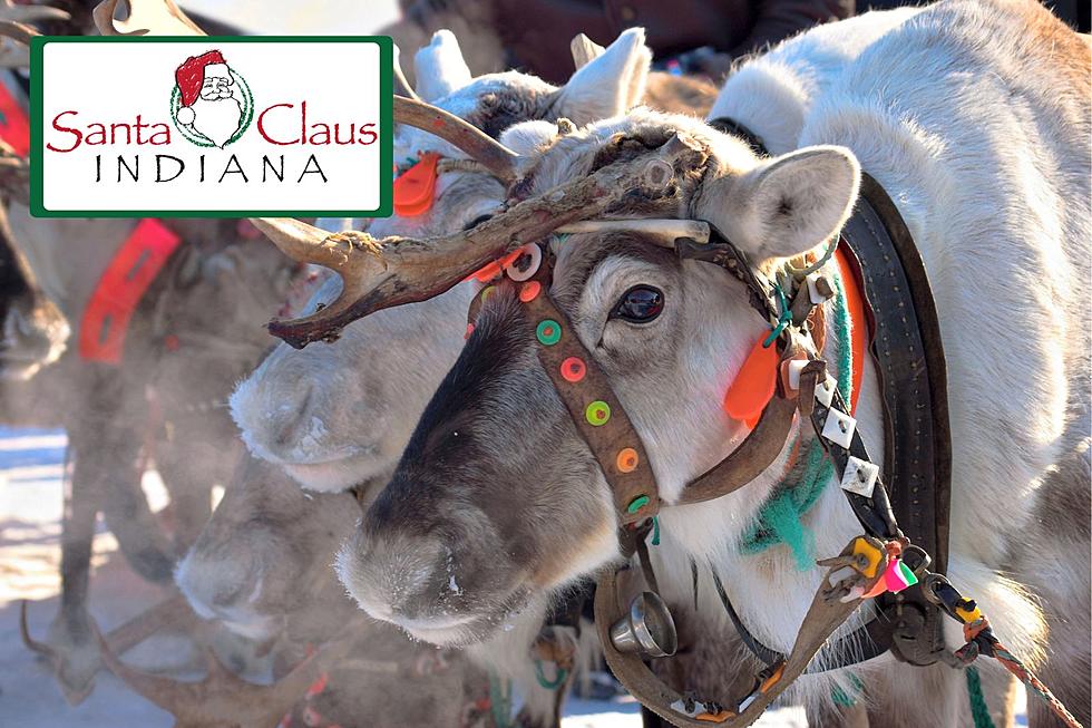 Free Magical Live Reindeer Experience in Santa Claus, Indiana