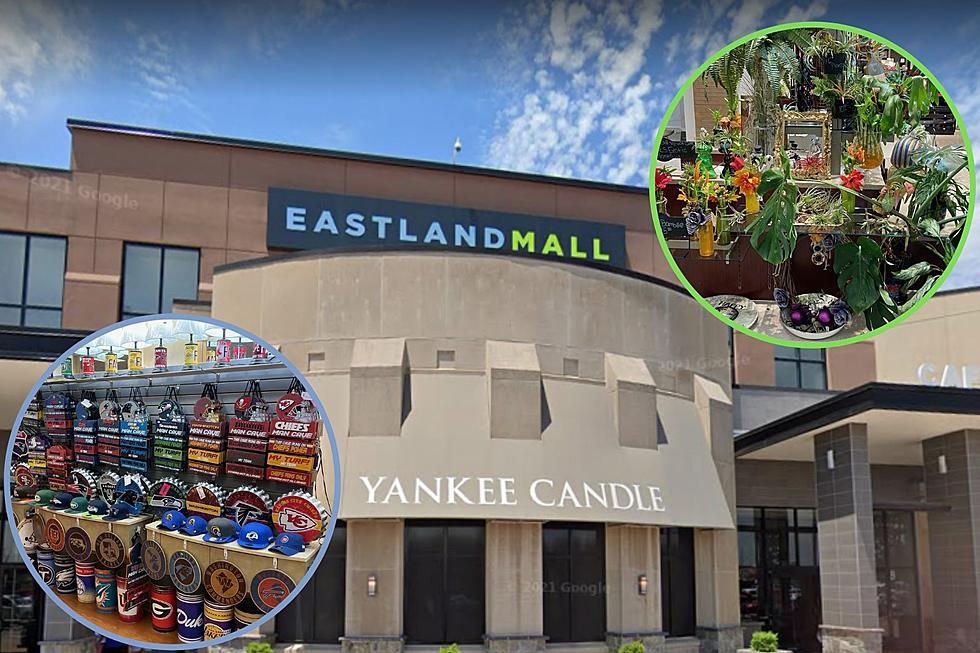 Exotic Plants & Sports Fan: Two New Eastland Mall Stores