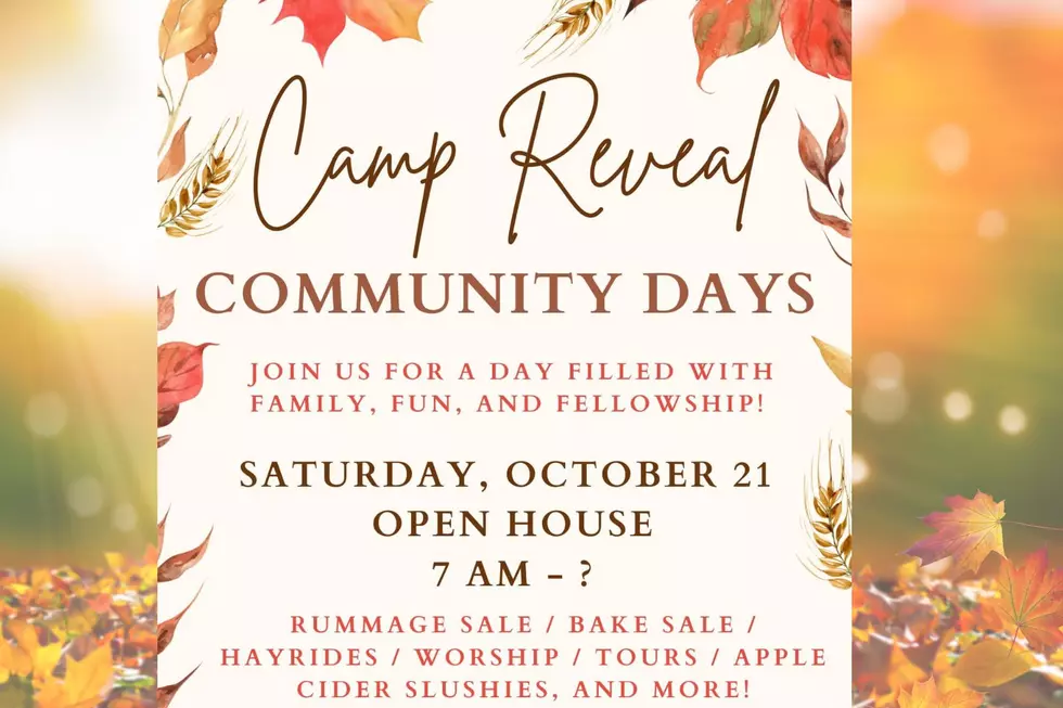 Photo: Canva | CAMP REVEAL