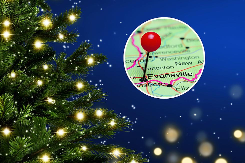 Evansville, IN Official City Christmas Tree Lighting Lighting