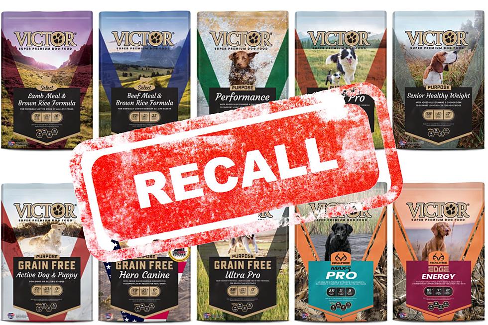 Indiana, Kentucky & Illinois Massive Pet Food Recall: Salmonella 