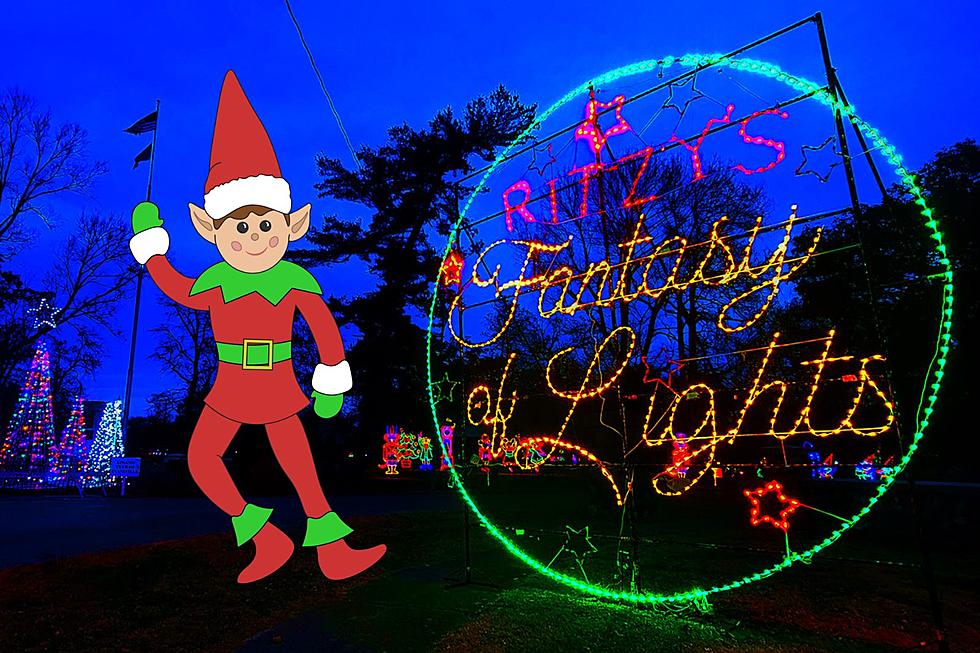 Ritzy’s Fantasy of Lights Introduces 'Find Andy the Elf Contest'