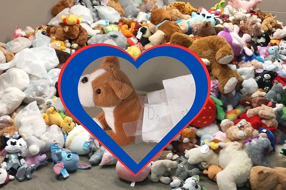 Evansville Thunderbolts Teddy Bear Toss Delivers 2,282 Smiles