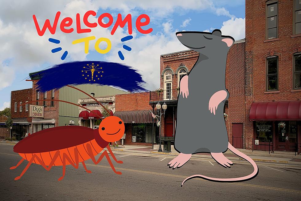 Double Trouble: Indiana is One of the Most Rat and Roach Infested States