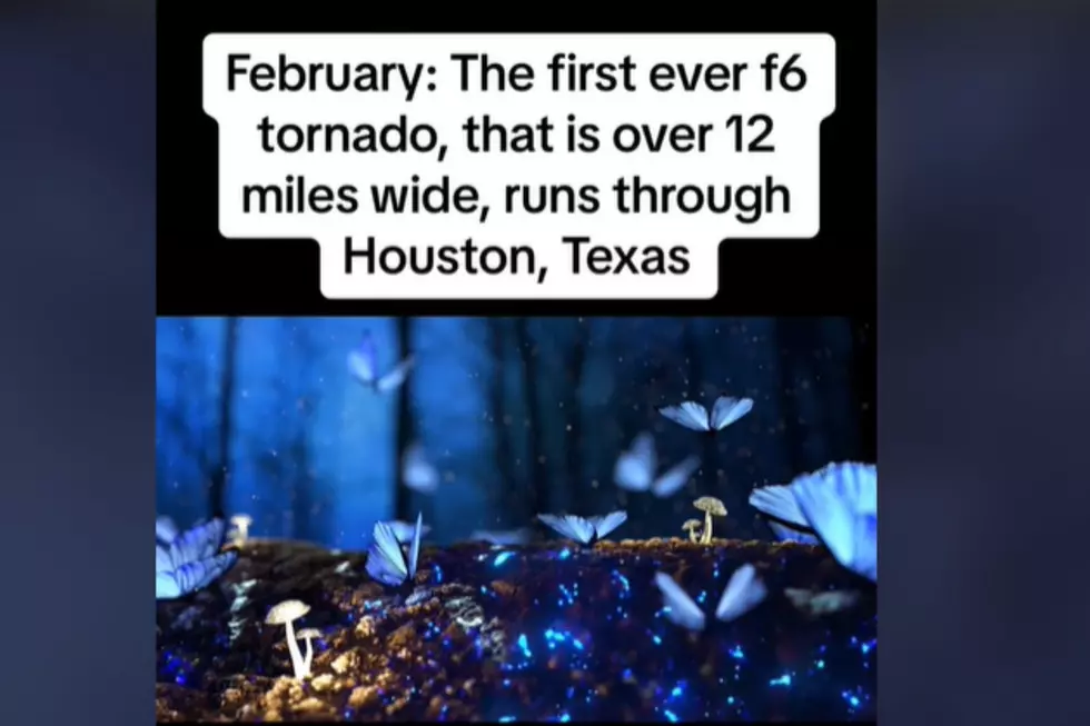 PHOTO: https://www.tiktok.com/@radianttimetraveler