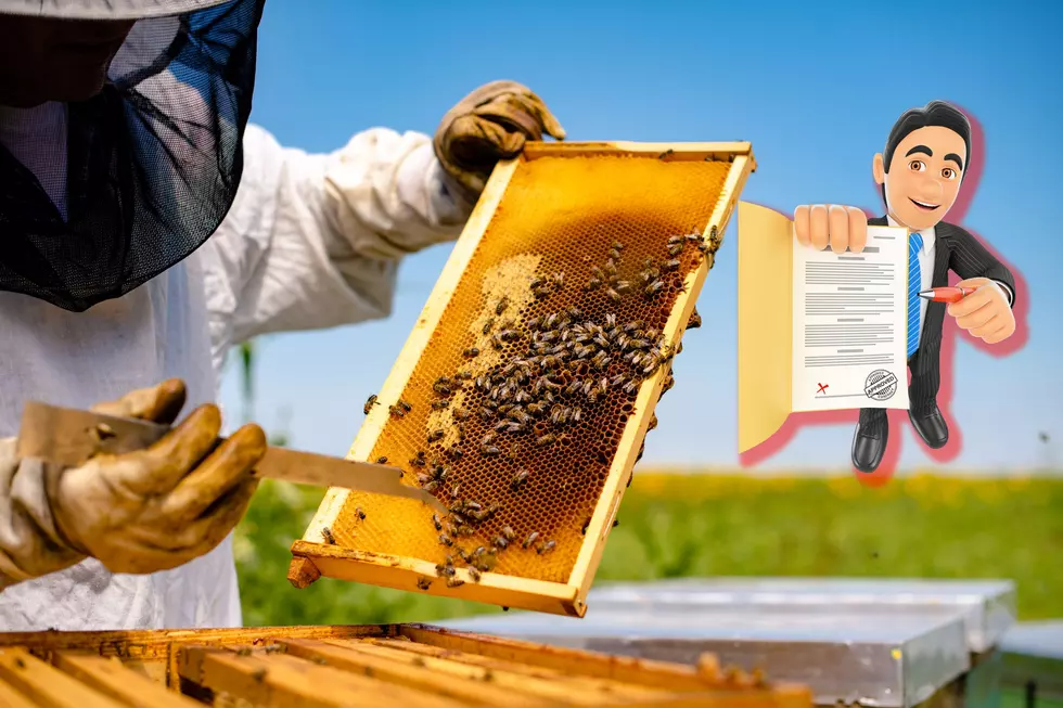 Can an Indiana HOA Legally Regulate Beehives on Personal Property