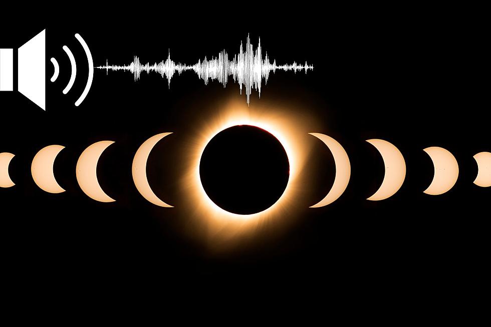 This Free Device Allows the Blind to Experience the Solar Eclipse with Sound