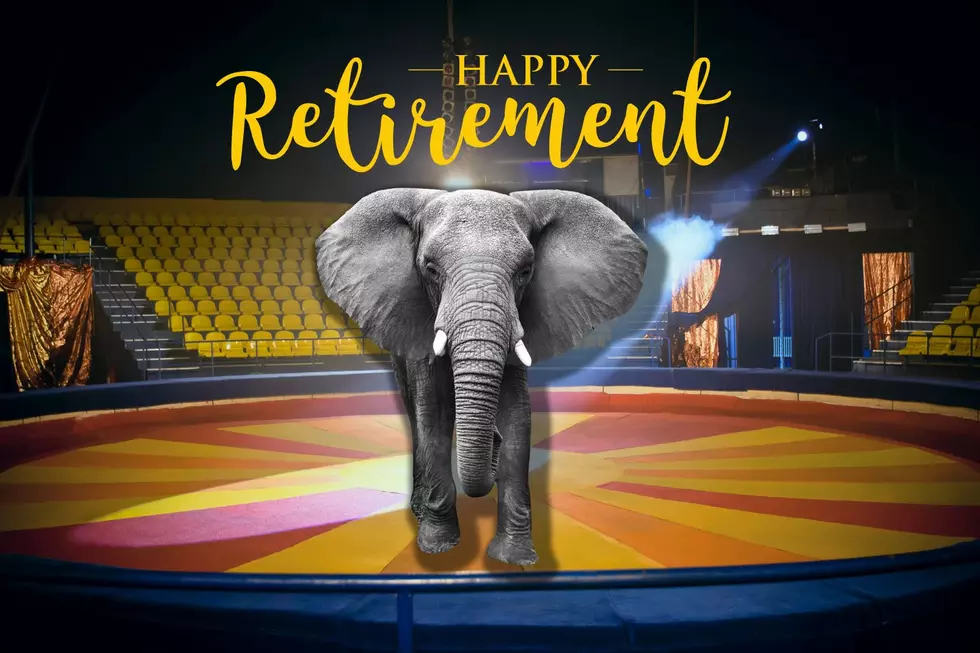 Hadi Shrine Circus Retires Elephants For 90th Year