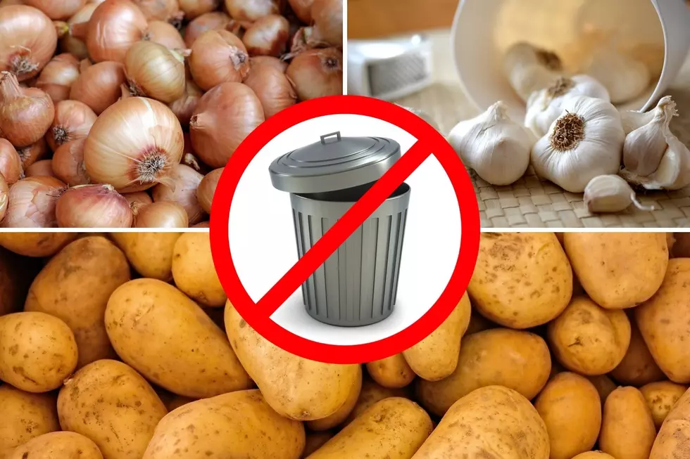 15 Foods You Can Regrow from Scraps at Home