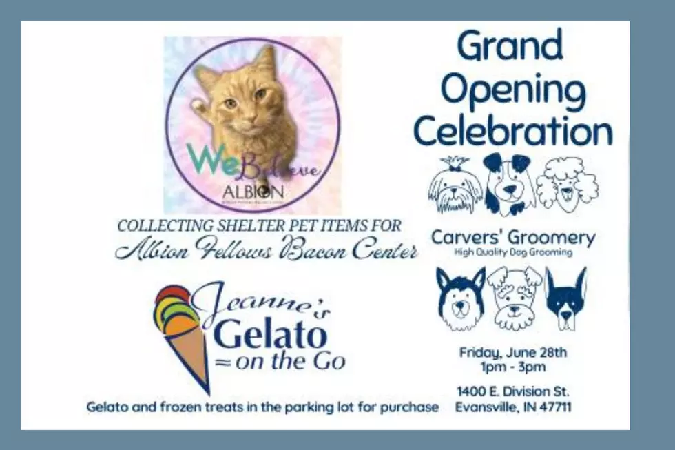 Photo: CARVERS GROOMERY opening