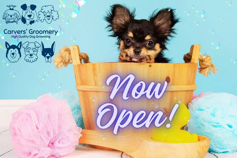 Evansville, Indiana’s New Pup Paradise: Carvers’ Groomery Grand Opening