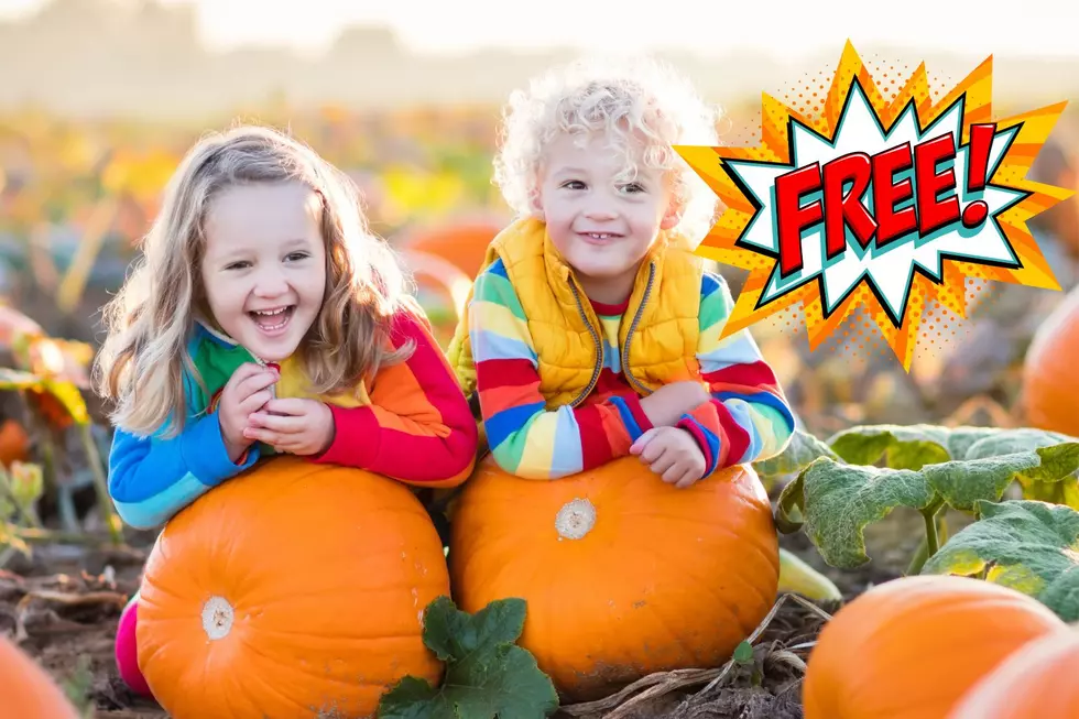 Get Ready for a Fall Craft Show and FREE Kids Pumpkin Patch in Evansville