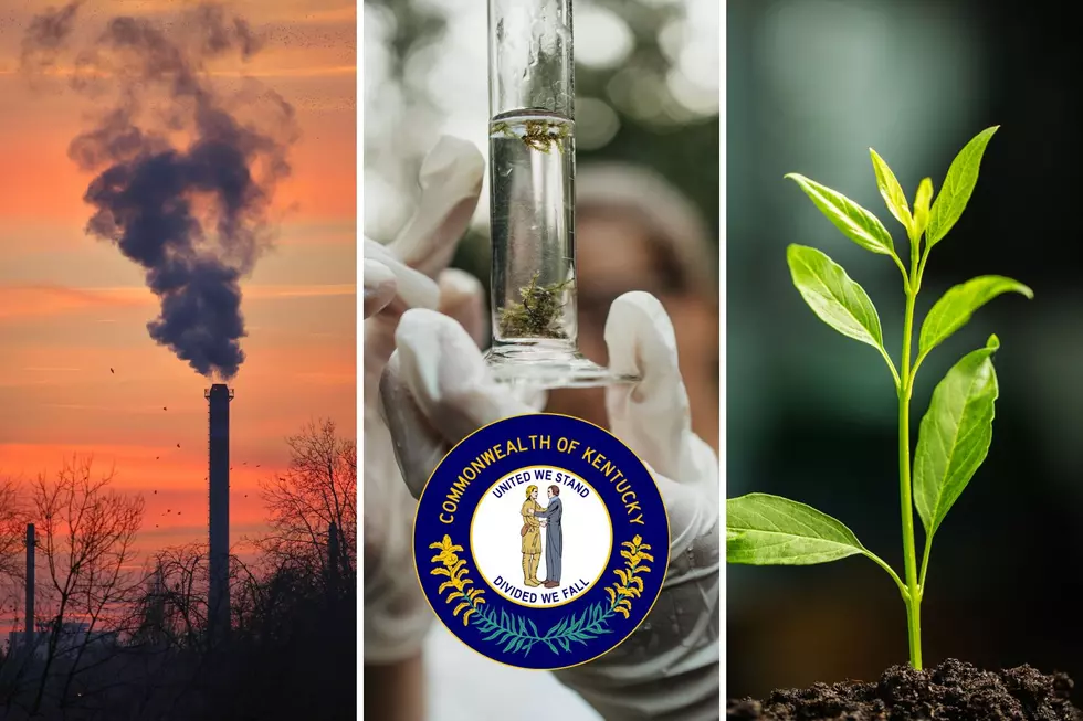 Kentucky Was Just Ranked Among America’s Least Eco-Friendly States