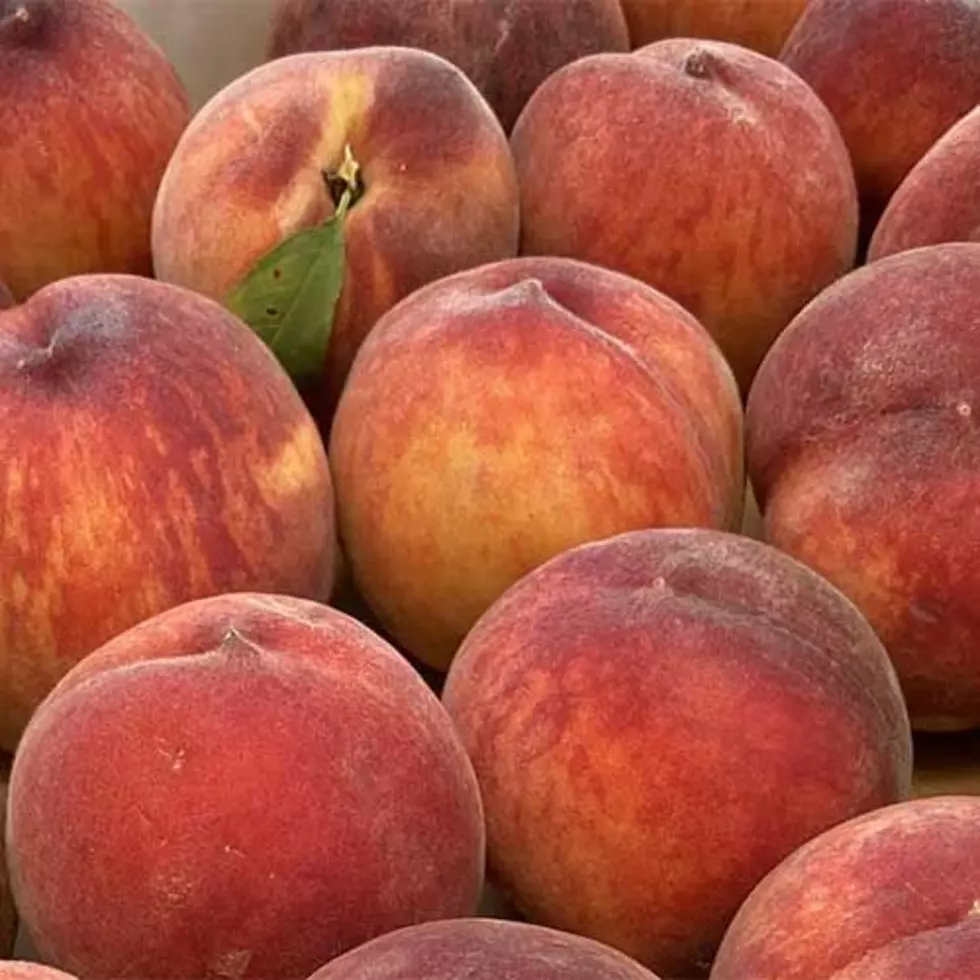 Evansville Countryside Orchard