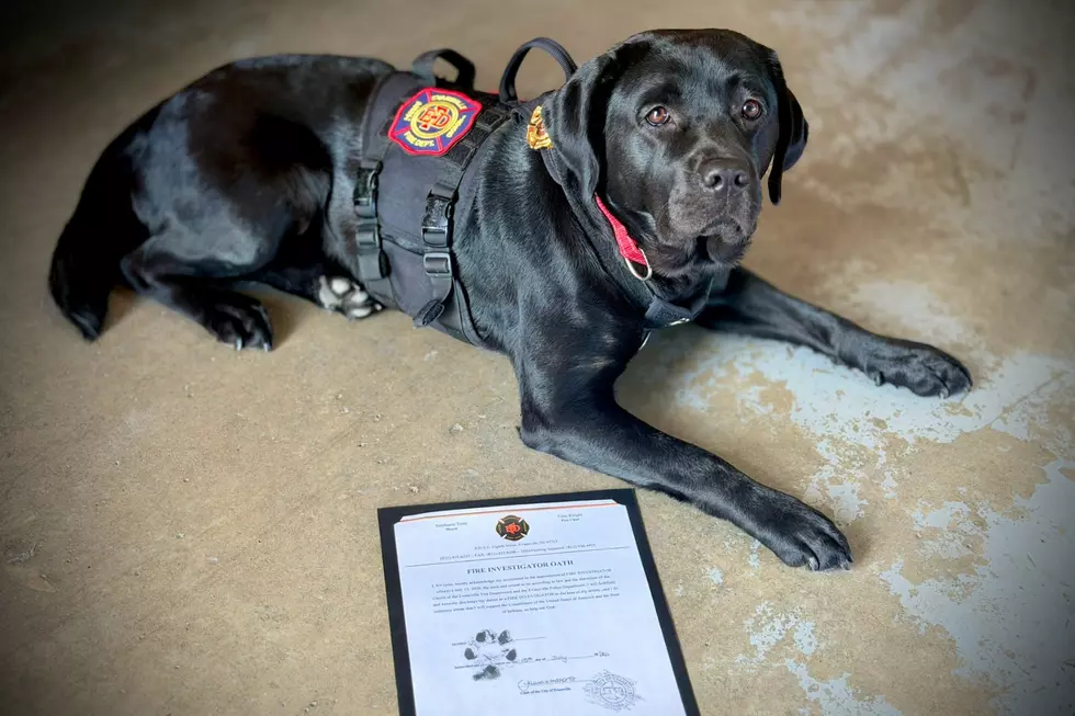 Evansville Fire Department Expands Fire Investigation Team and Officially Swears In K-9 Indie