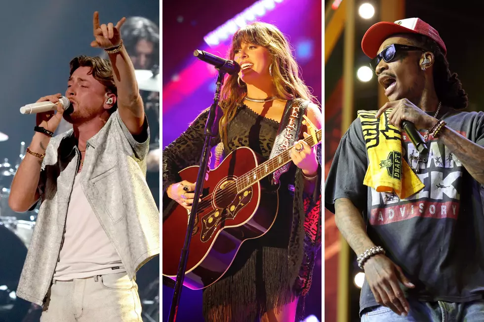2026 Illinois State Fair Concert Lineup Has Something for Everyone