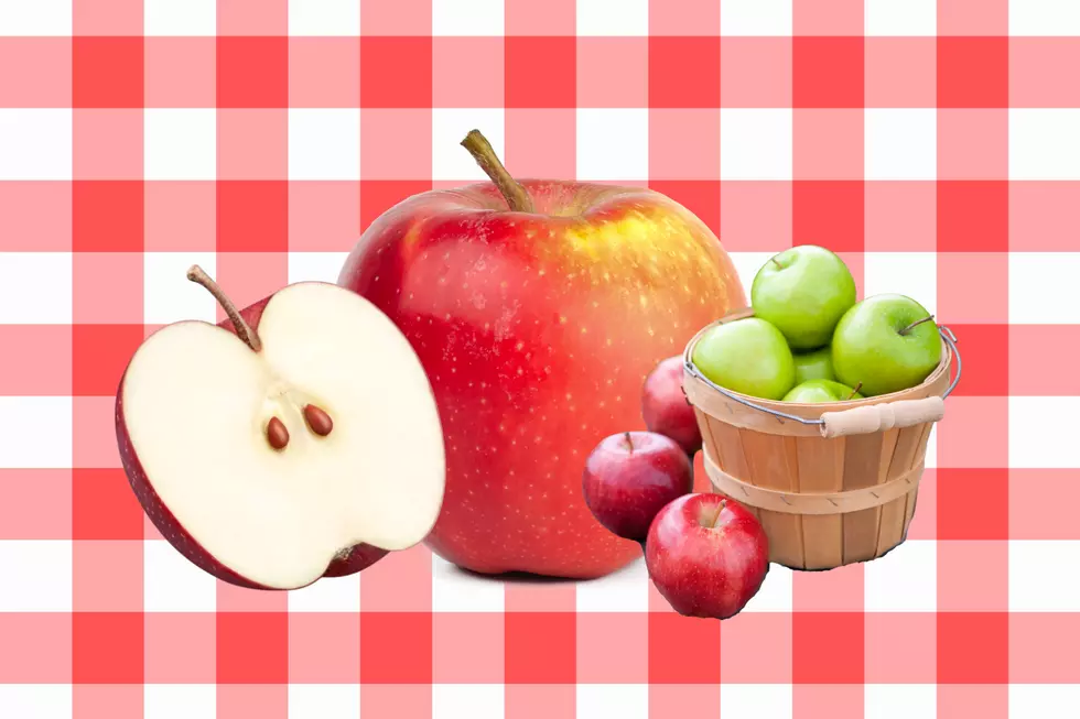 Apple Season Is Here! Orchards to Visit Around Evansville and Owensboro