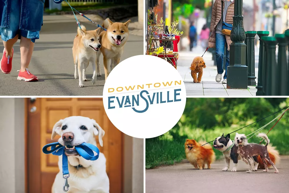 Evansville Dog Owners, Your Pups Have Plans This Weekend!