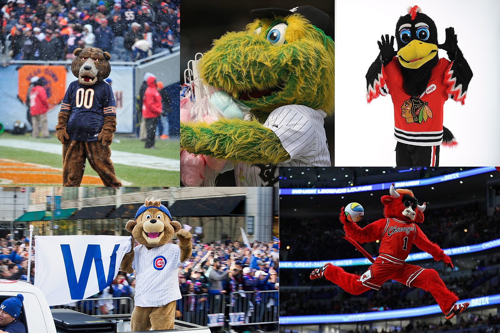 MLB Mascots That Are a Total Home Run
