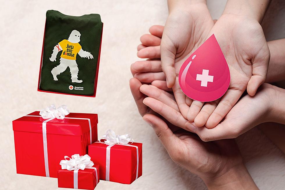 Illinois Can Give The Gift Of Life This Holiday Season