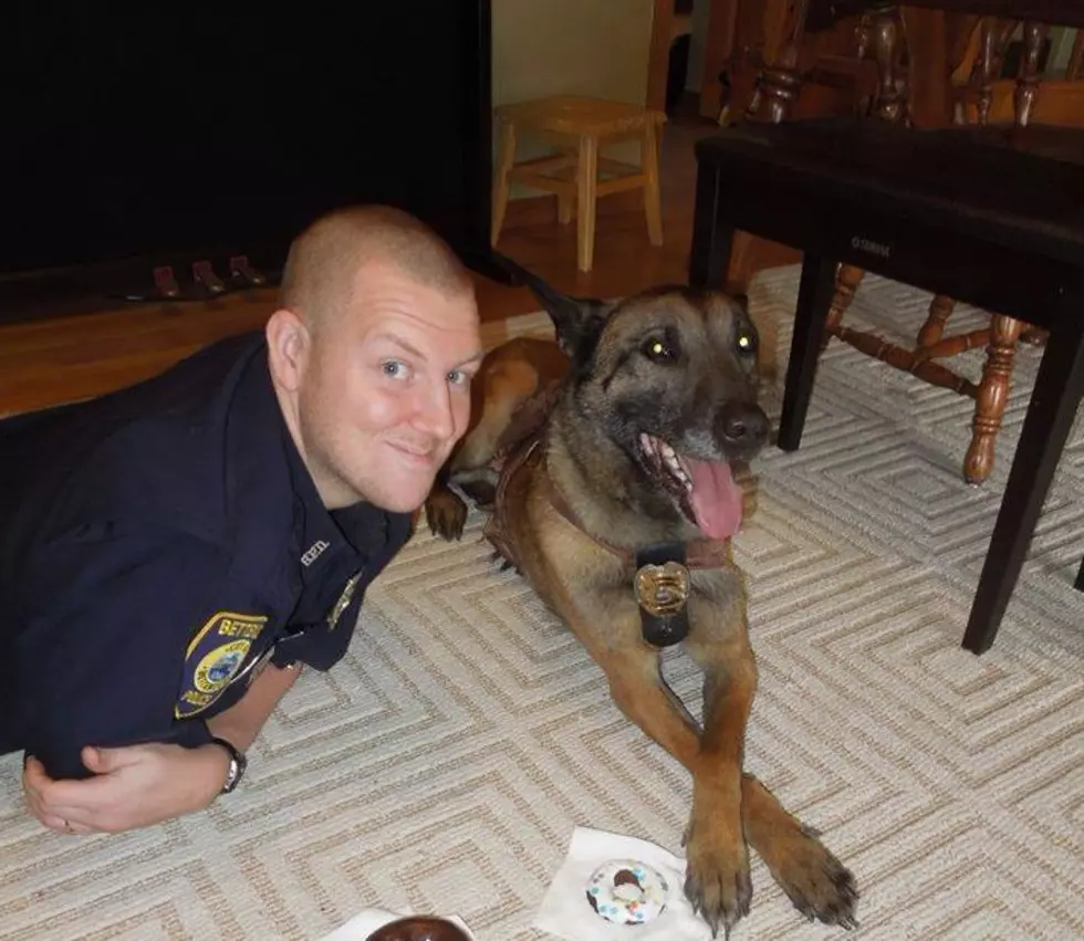 Bettendorf K9 Gets to Live with Officer After Retirement