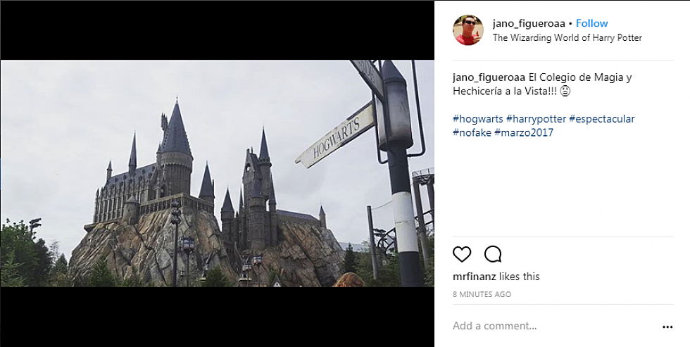 QC Potterheads Are Going Hog(warts) Wild For This