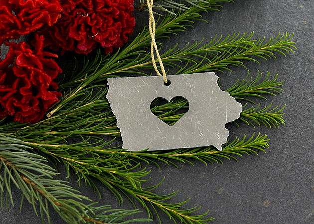Five Great Iowa Themed Holiday Gifts