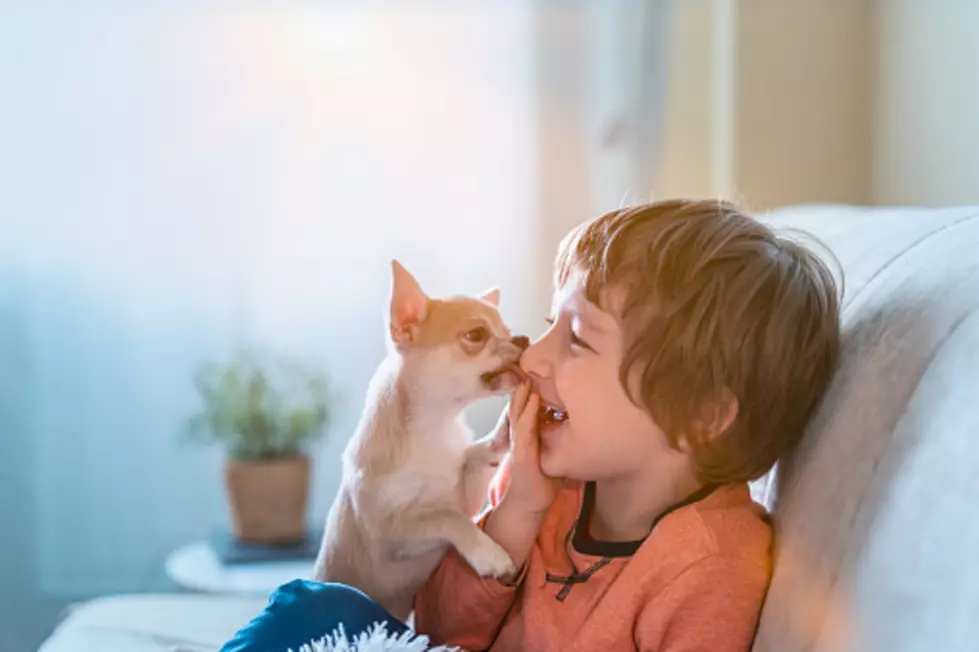 10 Photos That Show Why Kids Need a Pet
