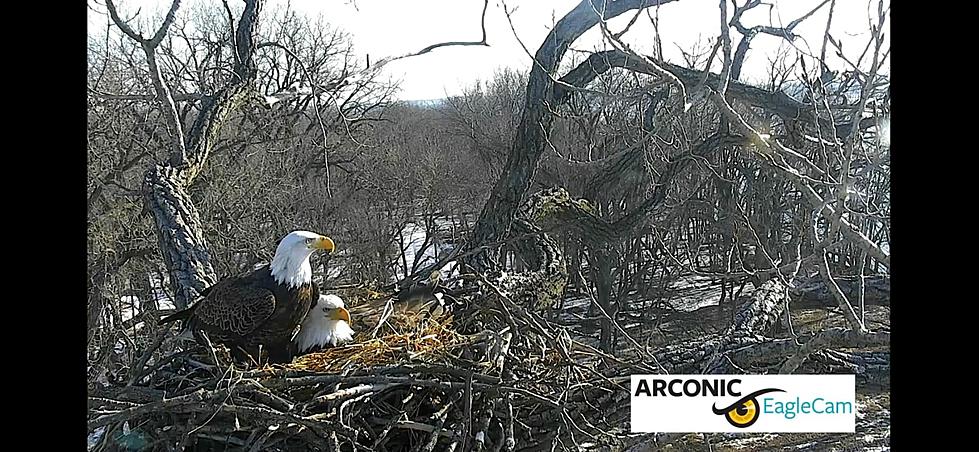 Heartbreaking News for the Arconic Eagle Parents