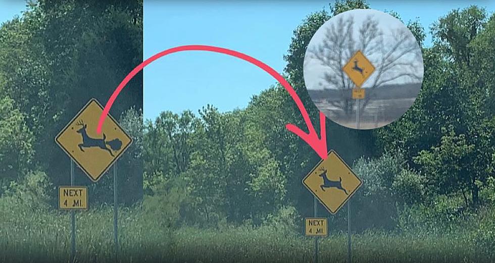 What&#8217;s Going On With The Farting Deer Signs In Iowa?
