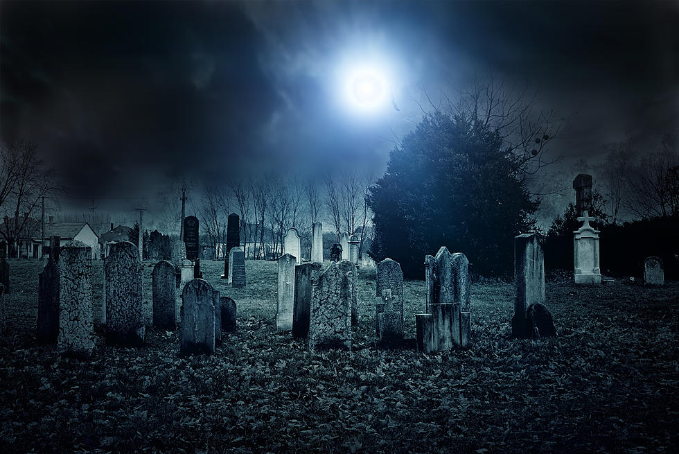 How You Can Legally Bury Your Dead Pet In The Backyard In Illinois