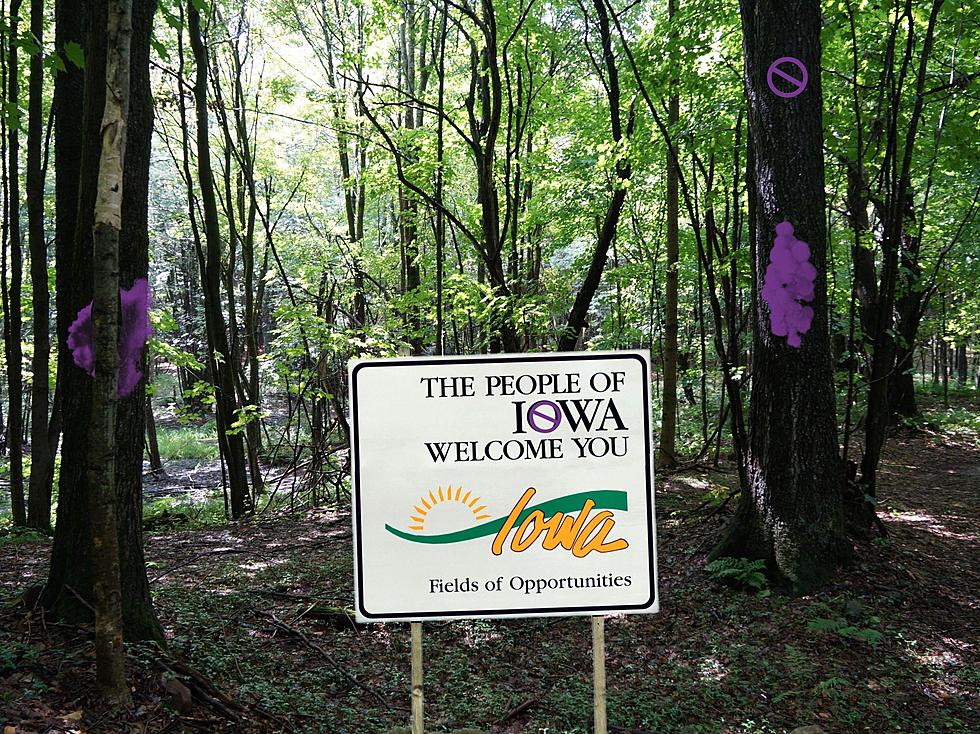 Iowans Should Keep An Eye Out For Purple Paint In The Woods This Fall