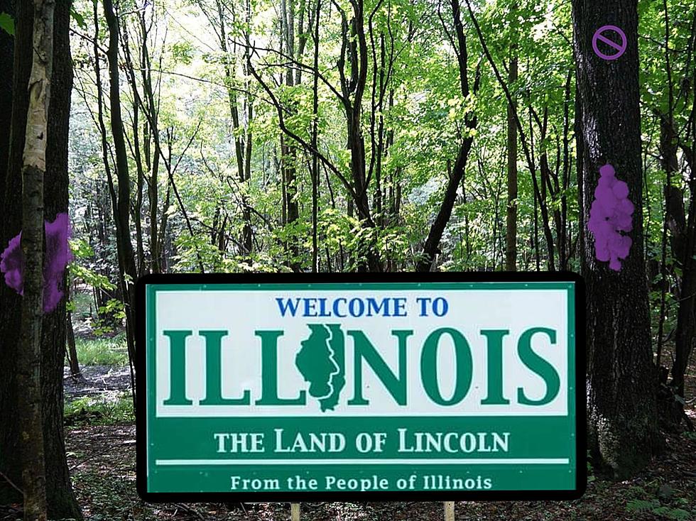 If You See Purple Paint In Illinois, You Should Leave Immediately